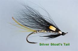 Silver Stoat's Tail JC